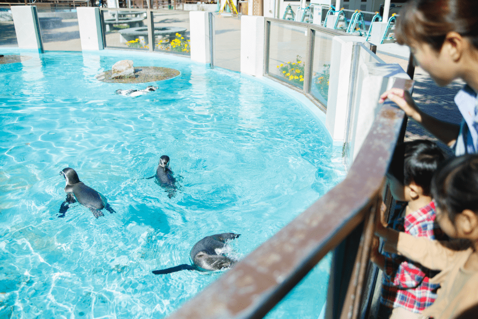 「京都市動物園」写真05