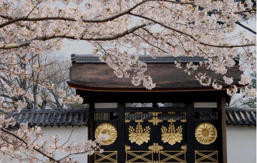 三宝院　唐門
